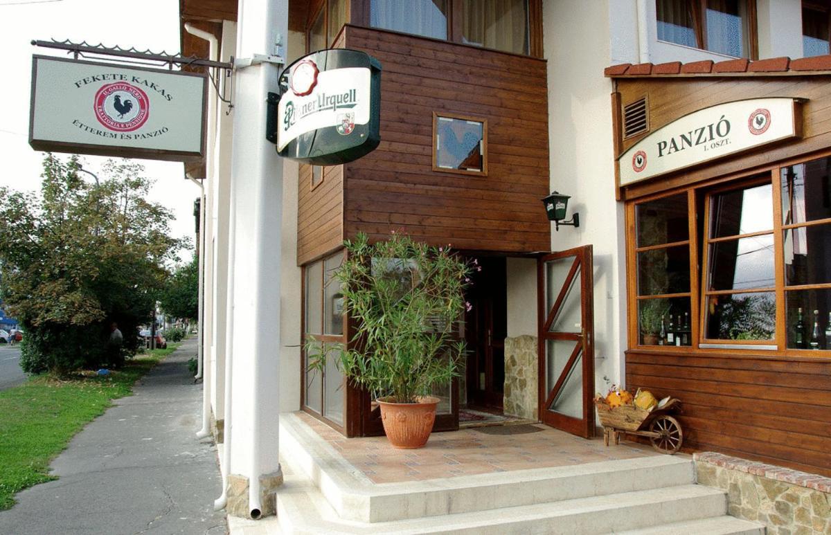 Il Gallo Nero - Fekete Kakas Etterem Es Panzio Szombathely Exterior photo